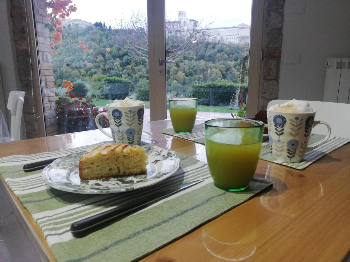 La Casa Tra Gli Ulivi 2*